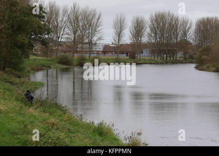 Portadown, Irlanda del Nord, Regno Unito. Il 31 ottobre 2017. Come da previsione, grigio di una noiosa nuvoloso giorno inaugurati il mese di ottobre. Non vi è stato tempo per alcuni pur di ottenere in uno spot di pesca nel Fiume Bann. Credito: David Hunter/Alamy Live News. Foto Stock