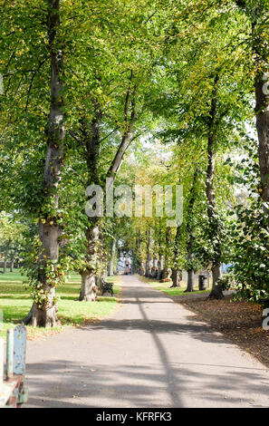 Brentford Chiswick London UK - l'area protetta di Butts Estate a Brentford Foto Stock