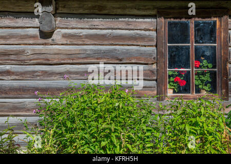 Una finestra in una vecchia casa in legno di alloggiamento tradizionali delle popolazioni indigene di estonia Foto Stock