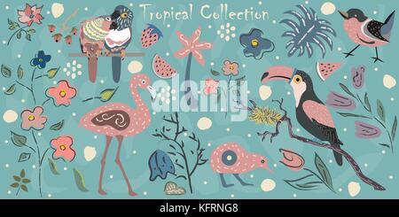 Grande raccolta di tropicale con uccelli esotici. flamingo, pappagalli, toucan, Australian uccello kiwi, piccolo uccello maggiorato di piante tropicali e fiori. disegnati a mano el Illustrazione Vettoriale