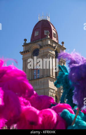 Piume di struzzo al di fuori c p nel museo, Oudtshoorn, Western Cape, Sud Africa Foto Stock