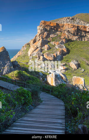 Robberg Riserva Naturale, Plettenberg Bay, Western Cape, Sud Africa Foto Stock