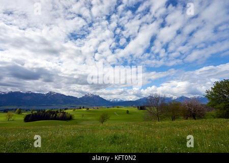 Mucca pascoli e terreni agricoli aperta contrassegnare le colline pedemontane delle Alpi dalla Germania nella regione bavarese Foto Stock