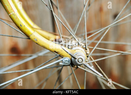 Mozzo di ruota di bicicletta. un mozzo con raggi fissata alle staffe con i dadi delle farfalle. Foto Stock