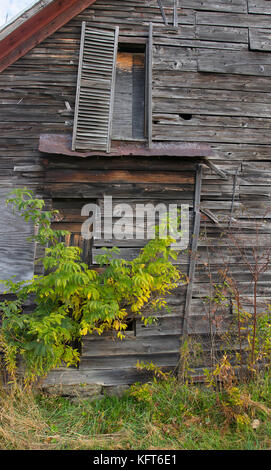 Un fienile abbandonato (1800) in una fattoria moretown rurale, Vermont, USA Foto Stock