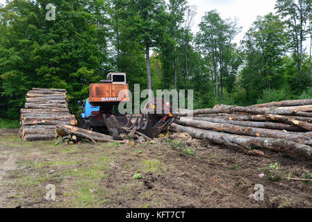 Operazione di registrazione in Montagne Adirondack, foresta con pile di log tagliati, un camion con il caricatore, log vide e culla, e una pila di log da tagliare. Foto Stock