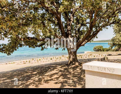 Cimitero in Spiaggia al anzac cove, in Gallipoli, Canakkale, Turchia. cimitero in Spiaggia contiene i resti delle truppe alleate che morì durante la battaglia di Foto Stock