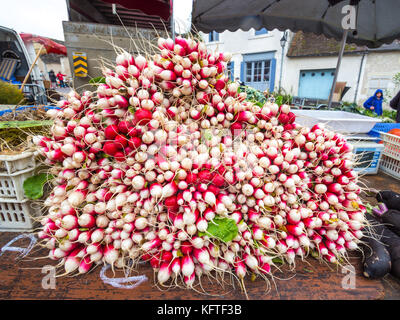 Mazzetti di ravanelli in stallo di mercato - Francia. Foto Stock