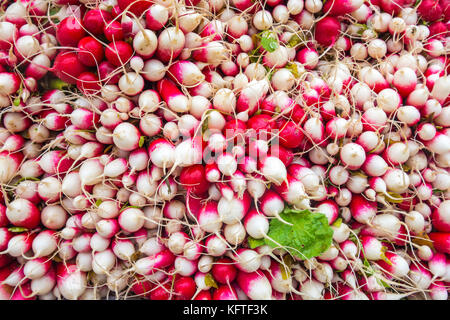 Mazzetti di ravanelli in stallo di mercato - Francia. Foto Stock