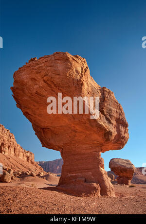 Equilibrato area Rocks vicino a fecce traghetto, Vermiglio scogliere monumento nazionale, Arizona, Stati Uniti d'America Foto Stock