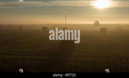 Misty sera nella campagna inglese con balle di fieno in azienda Foto Stock