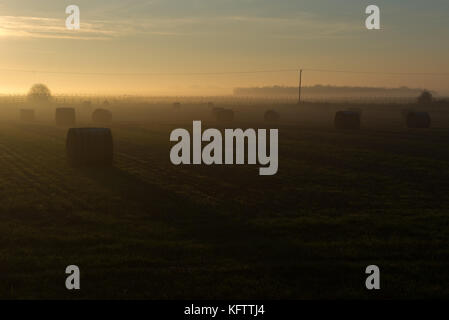 Misty sera nella campagna inglese con balle di fieno in azienda Foto Stock