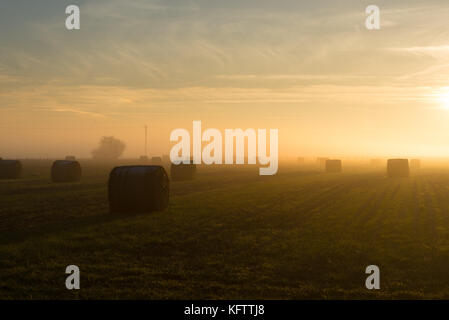 Misty sera nella campagna inglese con balle di fieno in azienda Foto Stock