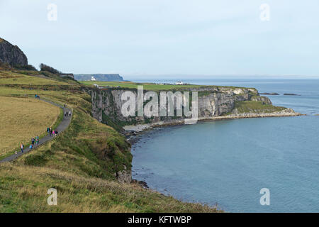 Bianche scogliere sul modo di Carrick-a-Rede ponte di corde, Ballintoy, Co. Antrim, Irlanda del Nord Foto Stock