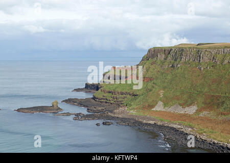 Scogliere, Giants Causeway, Bushmills, Co. Antrim, Irlanda del Nord Foto Stock