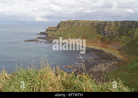 Scogliere, Giants Causeway, Bushmills, Co. Antrim, Irlanda del Nord Foto Stock