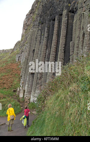 Organo a canne, giganti Causeway, Bushmills, Co. Antrim, Irlanda del Nord Foto Stock