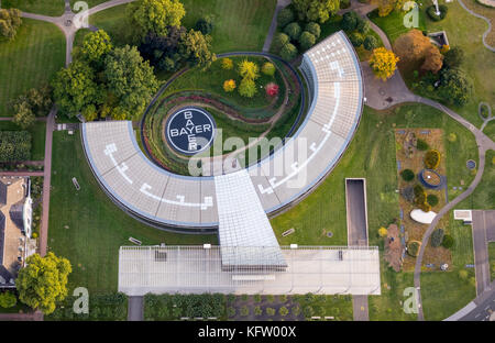 Logo Bayer nel giardino della sede Leverkusen, stabilimento chimico Bayer AG, LANXESS Aktiengesellschaft, impianto chimico sul Reno, il casinò Foto Stock