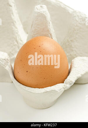 Singolo uovo di pollo in grigio cartone uovo crudo leggermente marrone punteggiato di uova di gallina in carta riciclata scatola uovo. cibo comune e ingrediente versatile. Foto Stock