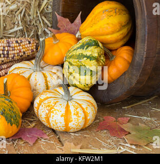 Colori d'autunno zucche e zucche versato su una superficie in legno Foto Stock