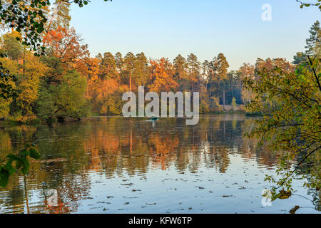 Indian autunno del parco di Pushcha Voditsa, Kiev, Ucraina Foto Stock