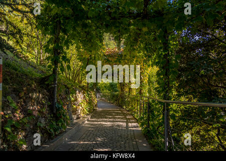I giardini di Castel Trauttmansdorff a Merano in Alto Adige, Italia, Europa Foto Stock