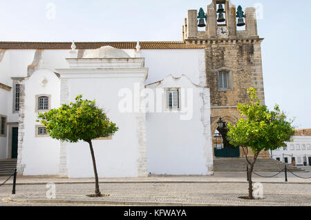 Catedral de faro, Cattedrale di faro Foto Stock