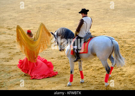 Cavallo andaluso e cavaliere in concerto con una ballerina di flamenco. Andalusia, Spagna Foto Stock