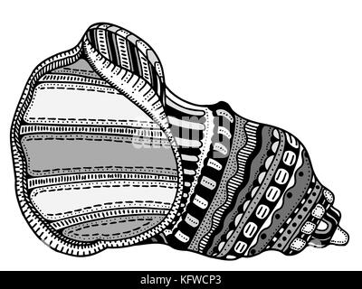 Zentangle guscio stilizzato. disegnati a mano doodle acquatici illustrazione vettoriale. schizzo per tatuaggio o makhenda. Collezione di conchiglie. vita nell'oceano. Illustrazione Vettoriale