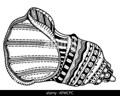 Zentangle guscio stilizzato. disegnati a mano doodle acquatici illustrazione vettoriale. schizzo per tatuaggio o makhenda. Collezione di conchiglie. vita nell'oceano. Illustrazione Vettoriale