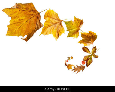 Spirale di isolato la caduta di foglie di autunno Foto Stock