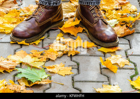 Gambe in pelle marrone stivali tra caduto foglie di acero in grigio di una pavimentazione in cemento. a piedi nel parco d'autunno. Foto Stock