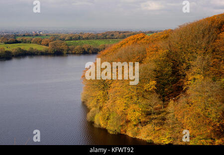 Serbatoio anglezarke e boschi, chorley, lancashire, Regno Unito. 1 novembre, 2017. Autunno dorato del sole il primo giorno di novembre al serbatoio anglezarke e boschi, chorley, lancashire, Regno Unito. Foto di credito: Paolo heyes/alamy live news Foto Stock