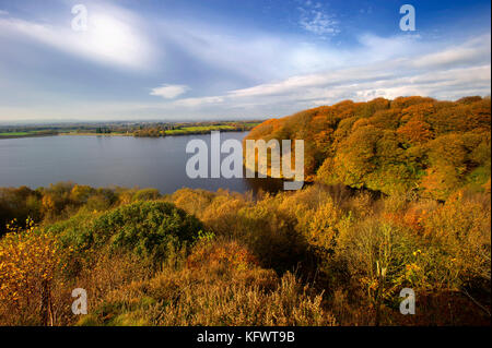 Serbatoio anglezarke e boschi, chorley, lancashire, Regno Unito. 1 novembre, 2017. Autunno dorato del sole il primo giorno di novembre al serbatoio anglezarke e boschi, chorley, lancashire, Regno Unito. Foto di credito: Paolo heyes/alamy live news Foto Stock