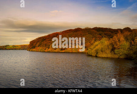 Serbatoio anglezarke e boschi, chorley, lancashire, Regno Unito. 1 novembre, 2017. Autunno dorato del sole il primo giorno di novembre al serbatoio anglezarke e boschi, chorley, lancashire, Regno Unito. Foto di credito: Paolo heyes/alamy live news Foto Stock