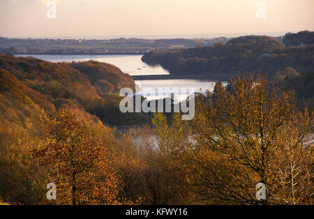 Chorley, Lancashire. 1 nov, 2017. uk meteo. Autunno dorato del sole al termine del primo giorno di novembre al serbatoio anglezarke e boschi, chorley, lancashire, Regno Unito. foto di Paolo heyes, mercoledì 01 novembre, 2017. Credito: Paolo heyes/alamy live news Foto Stock