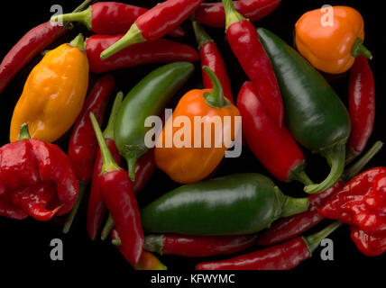 Santa Ana, California, Stati Uniti d'America. Xviii oct, 2017. La foto di famiglia del selezionare hot, peperoni piccanti. Sono incluse le jalapeno, serrano, tailandese, habanero, Carolina Reaper, e Trinidad Scorpion. Credito: Stan Sholik/ZUMA filo/Alamy Live News Foto Stock