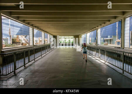 Berlino, Germania. 17 agosto 2017. Un bambino attraversa la casa dei predatori nel giardino zoologico di Berlino, Germania, 17 agosto 2017. Crediti: Gregor Fischer/dpa/Alamy Live News Foto Stock