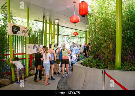 Berlino, Germania. 17 agosto 2017. I visitatori dello zoo camminano attraverso la casa dei panda nel giardino zoologico di Berlino, Germania, 17 agosto 2017. Crediti: Gregor Fischer/dpa/Alamy Live News Foto Stock