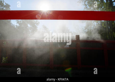 Berlino, Germania. 17 agosto 2017. Il vapore artificiale può essere visto nella casa dei panda nel giardino zoologico di Berlino, Germania, 17 agosto 2017. Crediti: Gregor Fischer/dpa/Alamy Live News Foto Stock