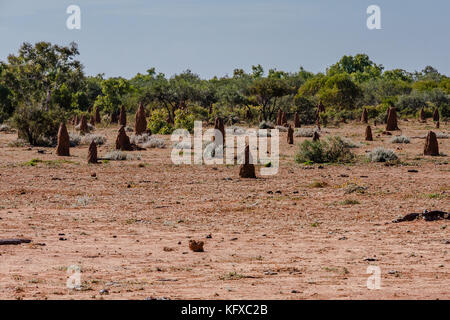 Termite tumuli nell'outback, Territorio del Nord, l'Australia Foto Stock