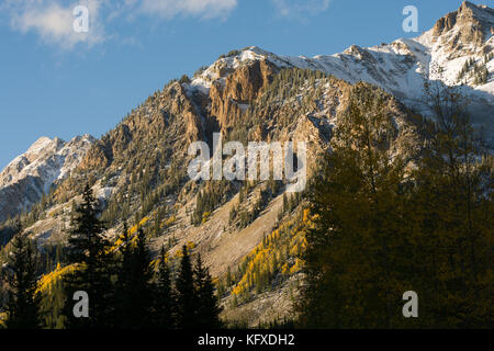 Aspen basato Professional ritrattista che serve la Roaring Fork Valley e oltre. Offrendo immagini che catturano il più indimenticabile e Foto Stock