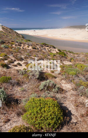 Praia da borderia beach, Carrapateira, costa vicentina, west coast, algarve, portogallo Foto Stock