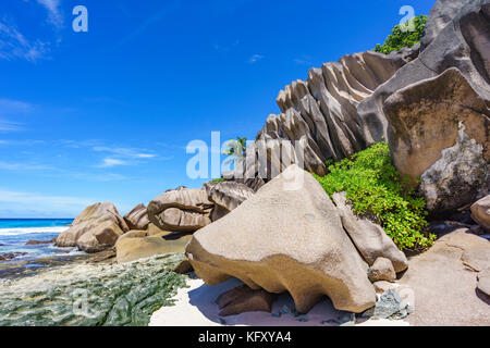 Coral reef in sabbia bianca e grandi rocce di granito con palme su di esso in corrispondenza della bella spiaggia di Grand Anse, la digue, Seicelle Foto Stock