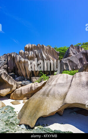 Coral reef in sabbia bianca e grandi rocce di granito con palme su di esso in corrispondenza della bella spiaggia di Grand Anse, la digue, Seicelle Foto Stock