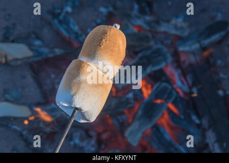 Close-up di due marshmallows browning sul bastone di torrefazione detenute nel corso campfire carboni Foto Stock