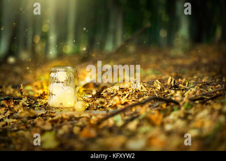 Magic forest fairy con le lucciole e un luminoso lampada lanterna di misterioso in un surreale foresta con foglie essiccate e luci da sogno Foto Stock