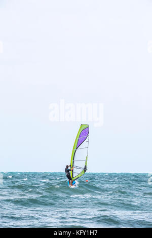 Gli appassionati di windsurf a Peschici e il Parco Nazionale del Gargano. L'Italia. Foto Stock