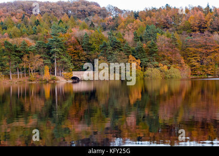 Vista degli alberi che si riflettono nell'acqua del bacino idrico di Agden in un'incantevole giornata d'autunno. Foto Stock