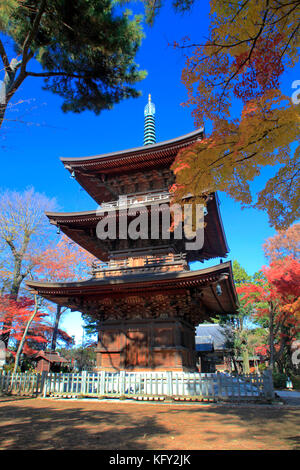 Tre piani pagoda di gotokuji tempio nel colore di autunno a Tokyo Giappone Foto Stock
